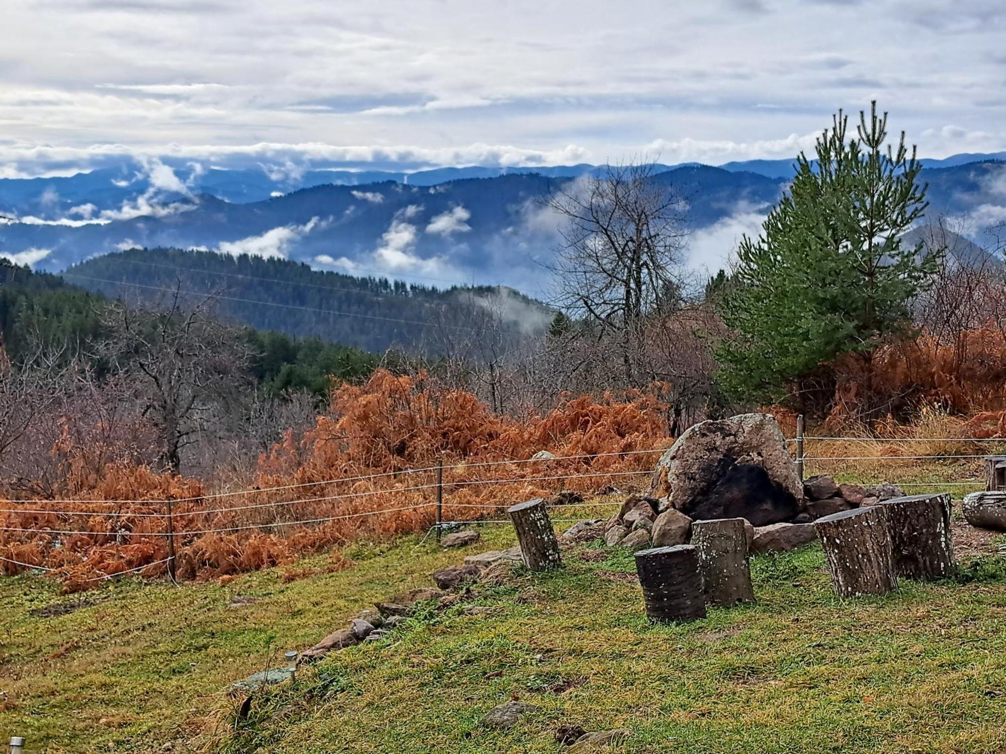 Вила Брезите Pamporovo Dış mekan fotoğraf