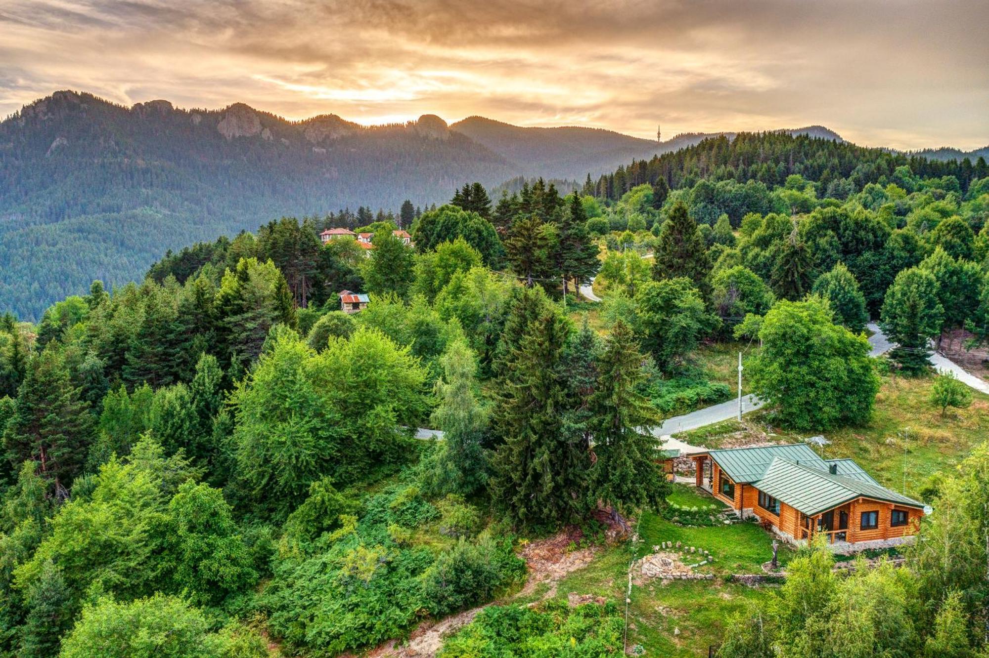 Вила Брезите Pamporovo Dış mekan fotoğraf
