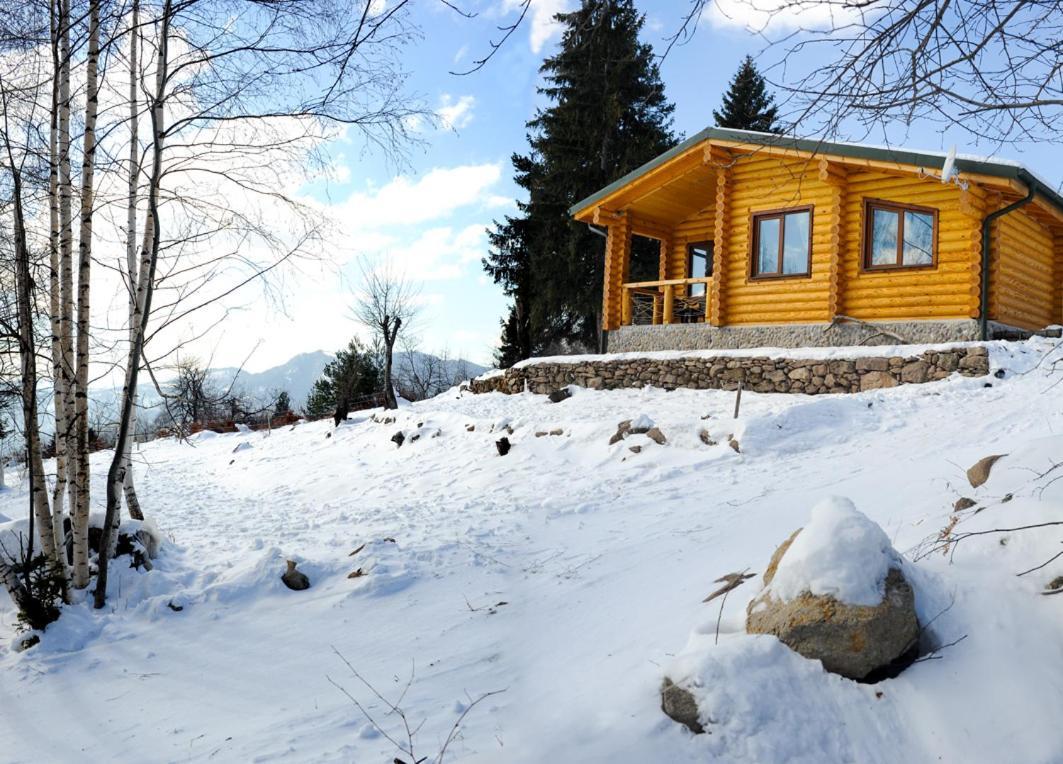 Вила Брезите Pamporovo Dış mekan fotoğraf