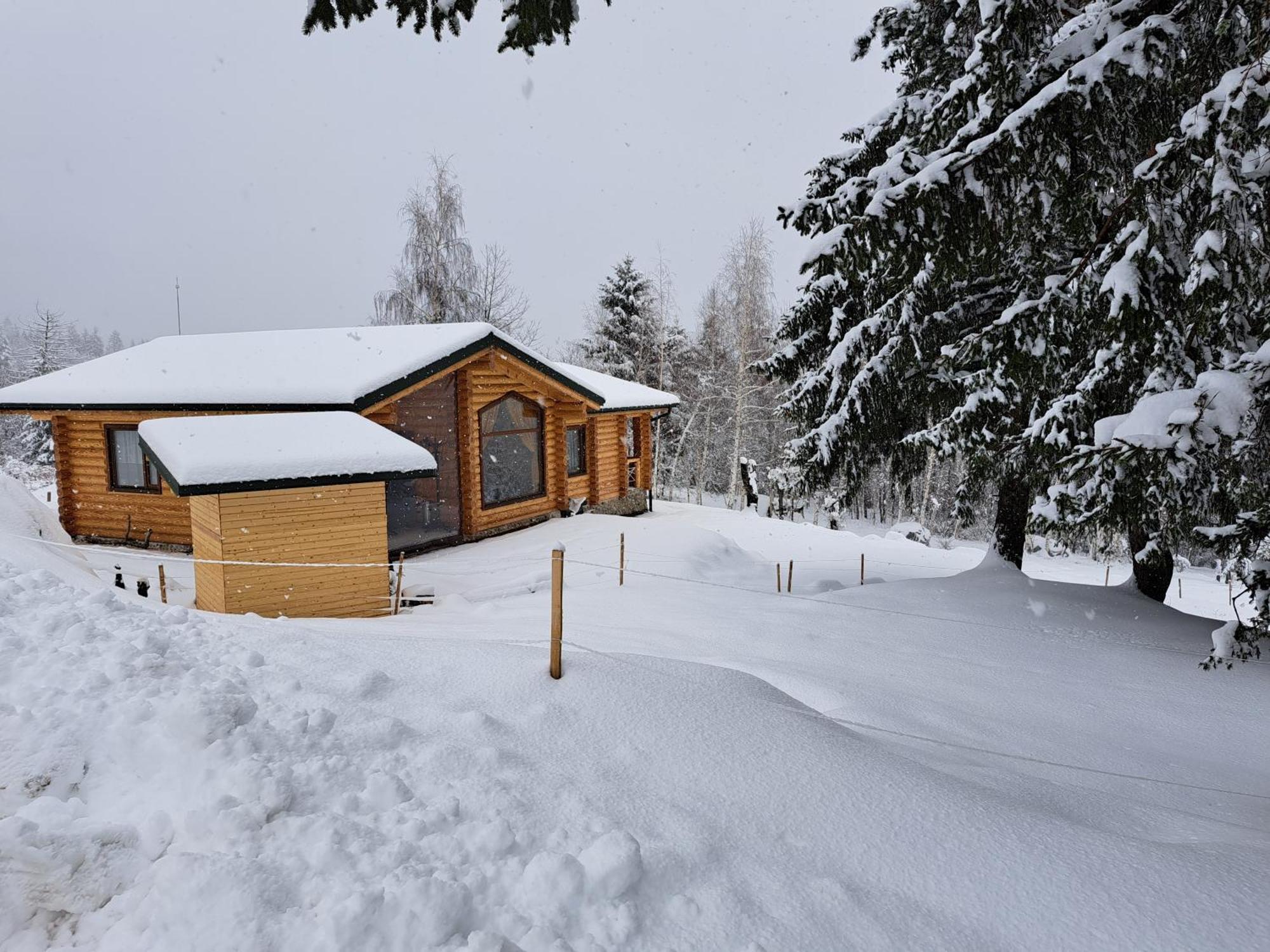 Вила Брезите Pamporovo Dış mekan fotoğraf