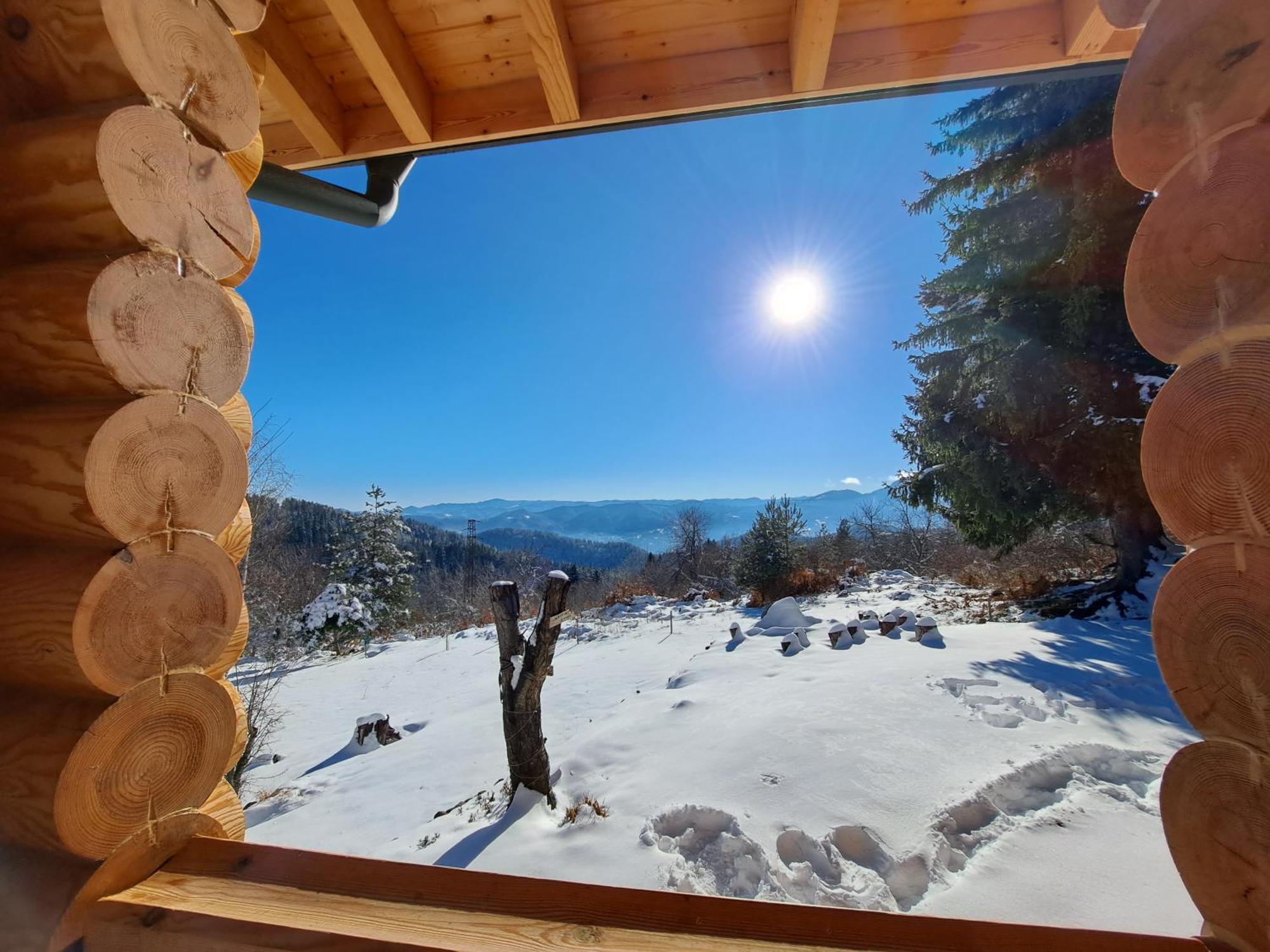 Вила Брезите Pamporovo Dış mekan fotoğraf